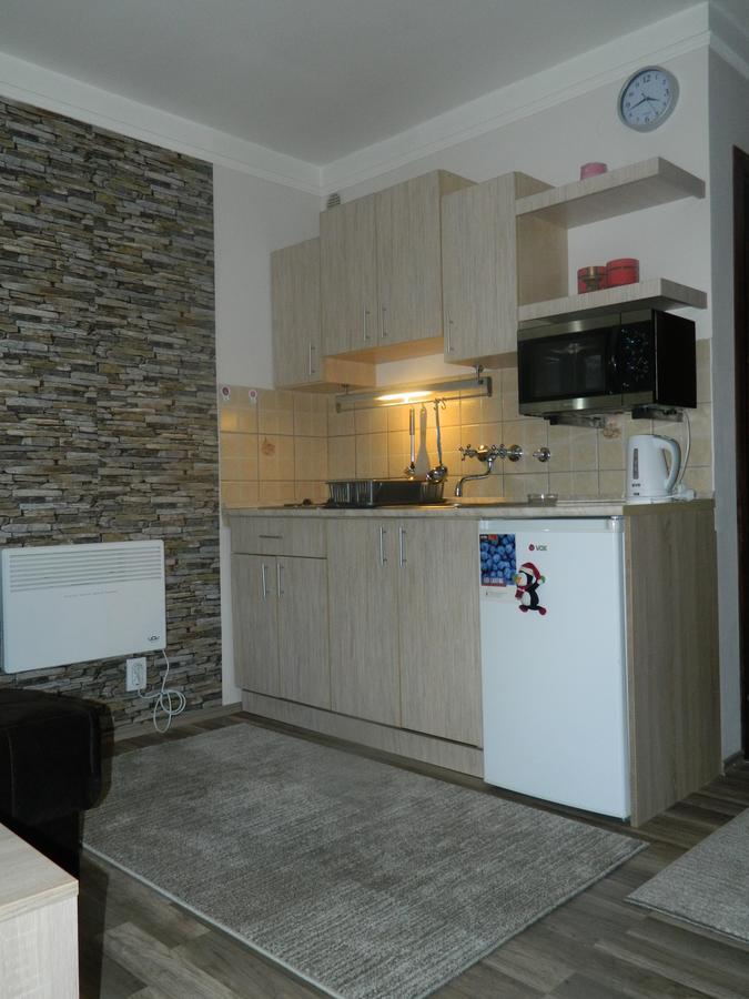 Apartment Sofi Yeti 科帕奥尼克 外观 照片