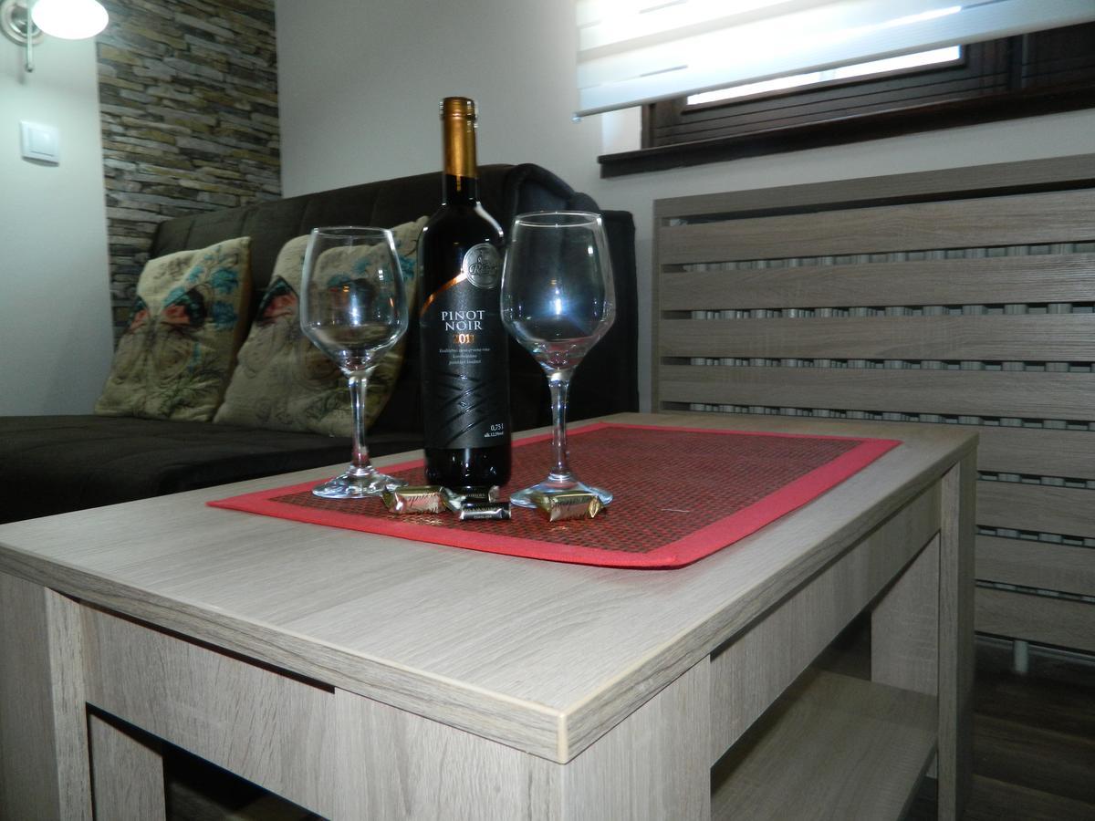 Apartment Sofi Yeti 科帕奥尼克 外观 照片