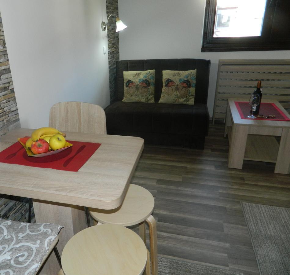 Apartment Sofi Yeti 科帕奥尼克 外观 照片